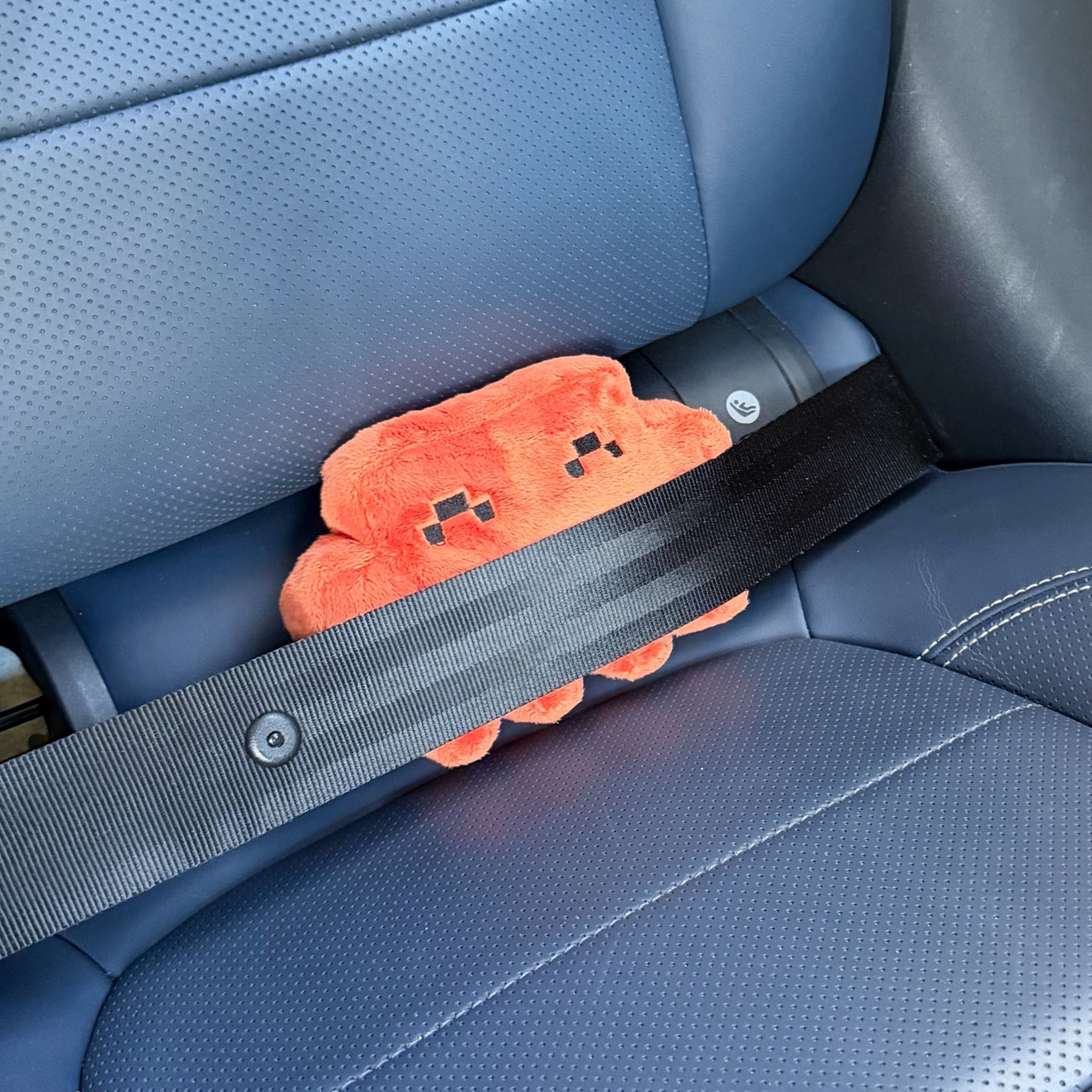 REPLACE: Photo of someone holding the Clawd plushie up to the camera.
